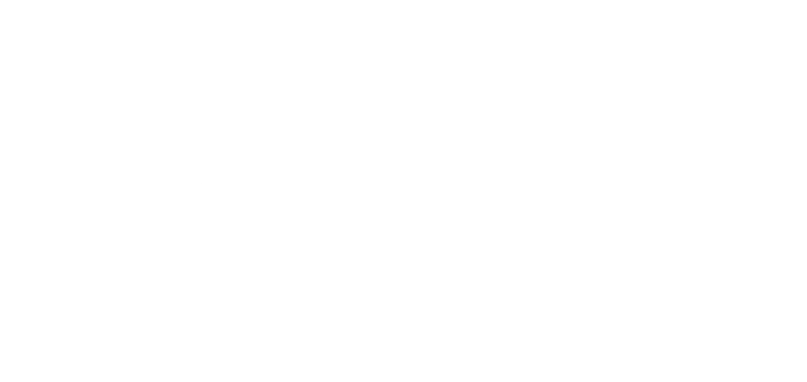 SmartElite